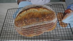 Тартин на закваске по классическому рецепту.