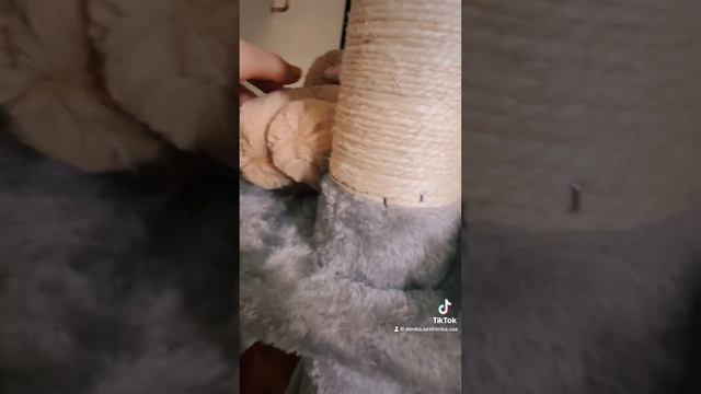 Кошачий дом смотреть онлайн