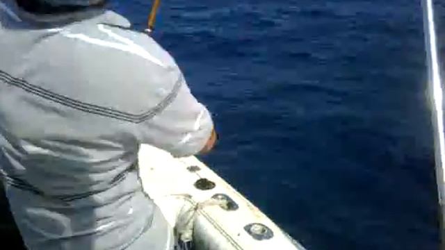 Fishing Grand Cayman - 68lb wahoo #1 смотреть онлайн