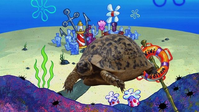 Turtle eats plastic and DIES смотреть онлайн