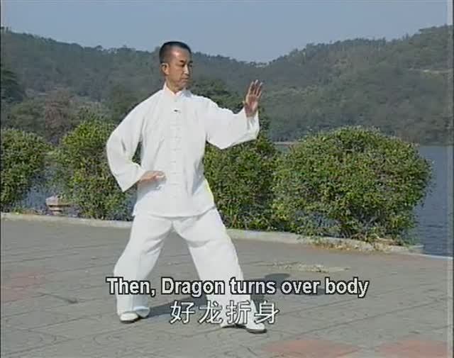 Шиэр син - бокс 12-ти животных, Синъи цюань линии мастера Ша Гочжена