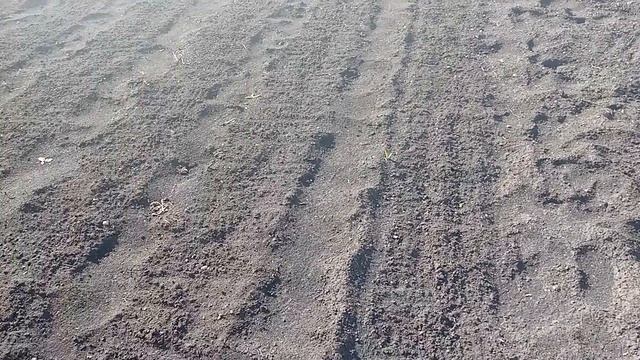 Наш маленький бахчевой участок. Обзор. смотреть онлайн