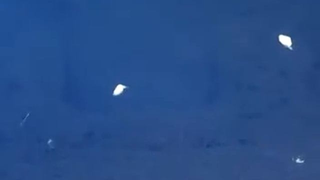 выдра смотреть онлайн