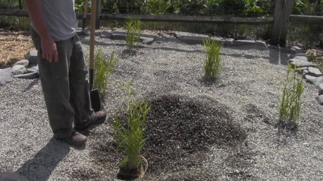 Grey Water Wetland & Silt Pond Project Part 2 смотреть онлайн