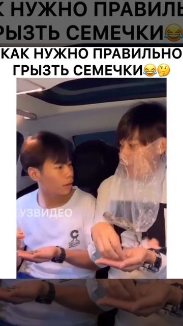 Как правильно грызть семечки