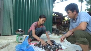 Poor girl - Harvesting clams, snail go to the village to sell - Green forest life