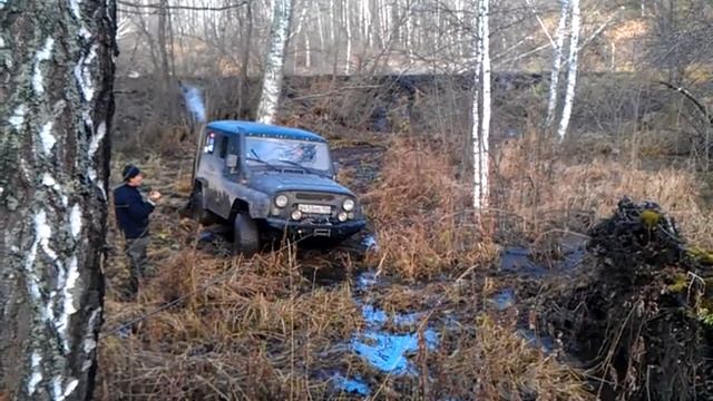 Лебежение в болоте смотреть онлайн