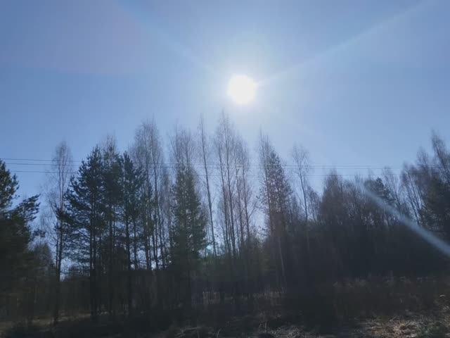 Весенний солнечный день смотреть онлайн