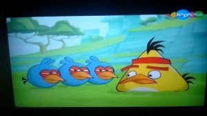 сердитые птички энгри бердс