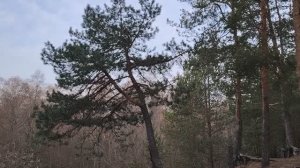 Аллергия на руководство. Причины данного «заболевания»