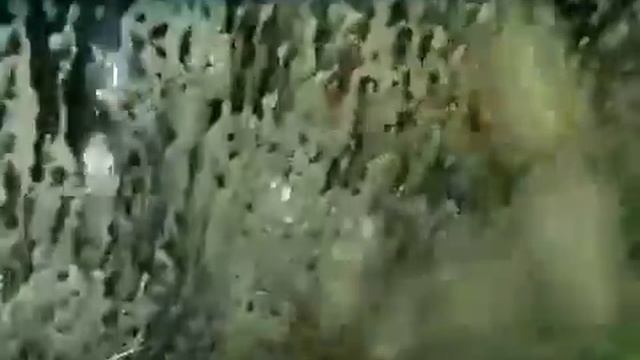 Мойка смотреть онлайн