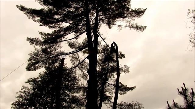 Janstrom s.r.o. - Vejmutovka смотреть онлайн