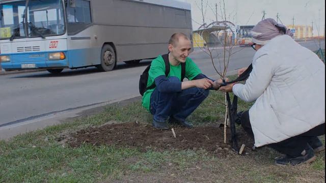 Посадка деревьев смотреть онлайн
