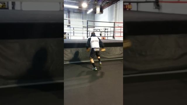 Boris Sherbatov MMA training & conditioning смотреть онлайн
