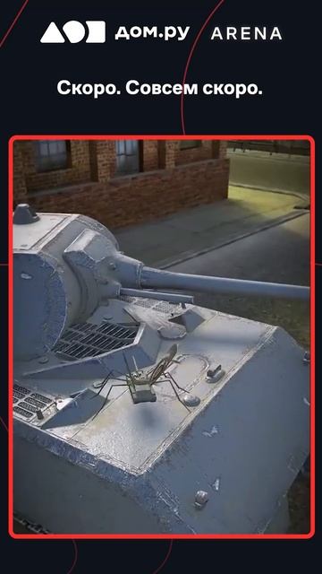 Вы тоже этого ждете? #миртанков #лето #комары смотреть онлайн