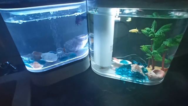 Xiaomi HF-JHYGZH001 Descriptive Geometry & Xiaomi HF-JHYG005 Geometry Mini Lazy Fish Tank Aquariums смотреть онлайн