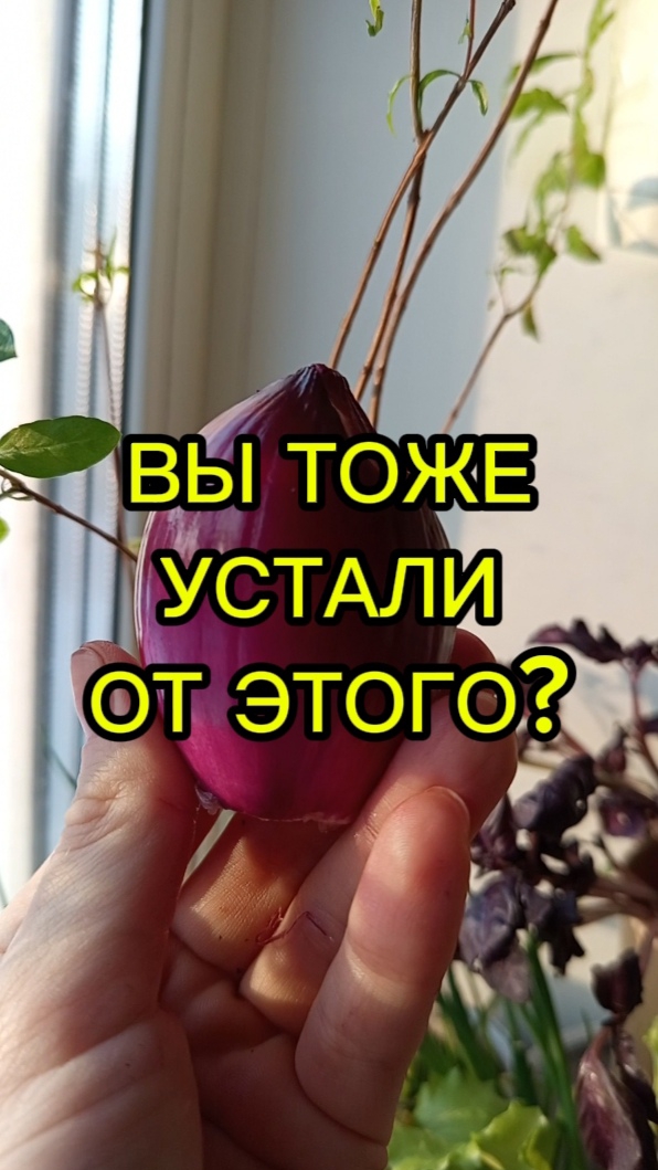 Кухонные полезные лайфхаки