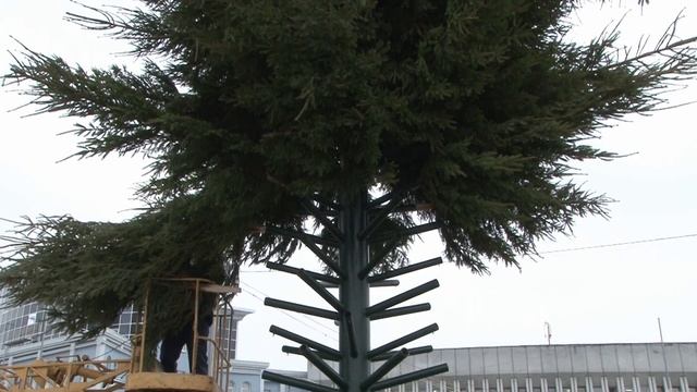 У Сумах встановлюють ялинку смотреть онлайн