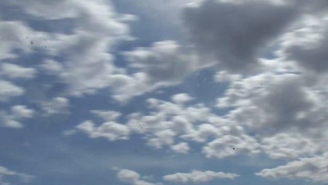 Нашествие животных. Релакс по-деревенски. Жизнь в деревне смотреть онлайн