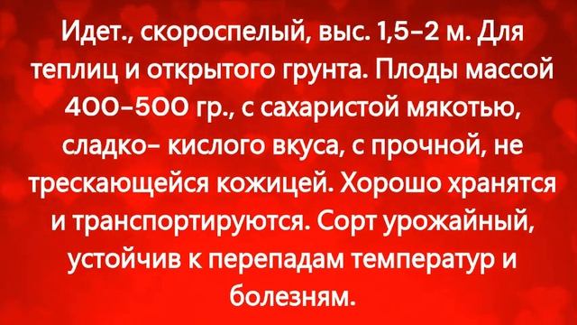 КАТАЛОГ ТОМАТОВ НА 2024 год. Часть 7. г. Киров смотреть онлайн