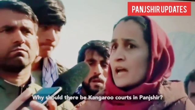 🚨MUST WATCH🚨-WE DON'T WANT TERRORIST MULLAH OMAR,WE WANT AHMAD SHAH MASSOUD SAID A PANJSHIRI💚🕊️🖤❤️🇦 смотреть онлайн