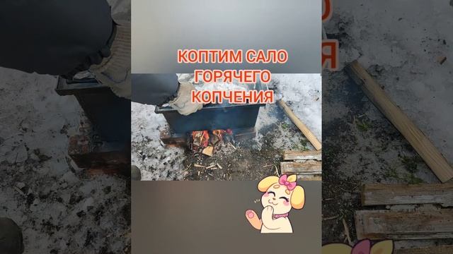 САЛО - ГОРЯЧЕГО КОПЧЕНИЯ! смотреть онлайн