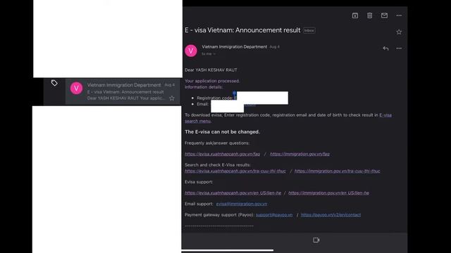 HOW TO CHECK VIETNAM E-VISA STATUS смотреть онлайн