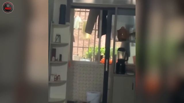 Incredible Moments Caught On Camera