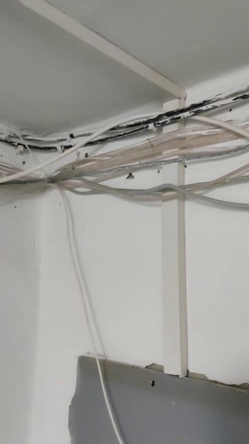 аккуратная проводка древней цивилизации смотреть онлайн