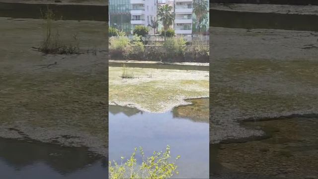 Алания ПРЯМОЙ ЭФИР ▶️ Отвечу на ваши ВОПРОСЫ! Турция смотреть онлайн