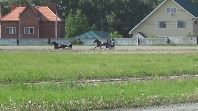 01. 06. 2019 Заезд №14 (43). Приз "Памяти неизвестного солдата" II Гит смотреть онлайн