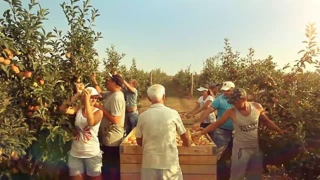 Организация оплачиваемых общественных работ совместно со Службой занятости АРКма смотреть онлайн