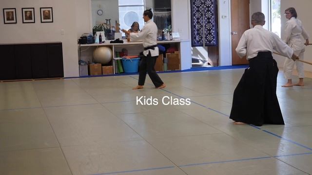 『合氣道』Ki-Aikido Kashiwaya sensei seminar in Colorado 2022 смотреть онлайн