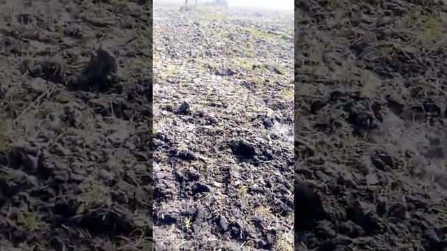 Мій вибір технології землеобробітку смотреть онлайн
