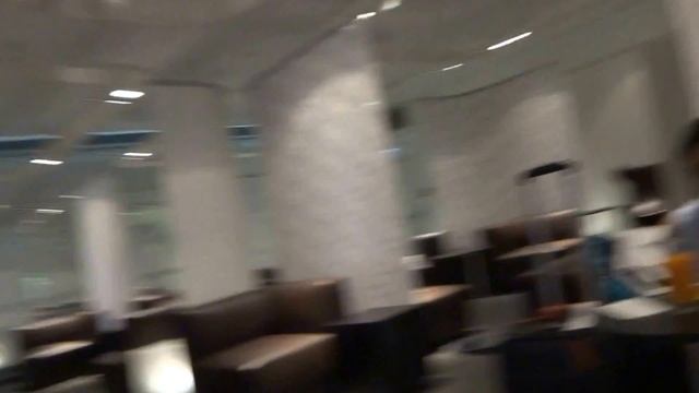 Aruna & Hari Sharma in Schengen Sky Lounge at Vienna Airport before Flying to Zurich Sept 26, 2013 смотреть онлайн