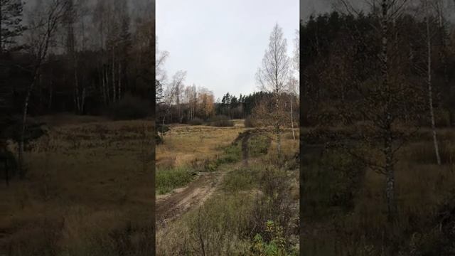 Sauriešu mototrase смотреть онлайн