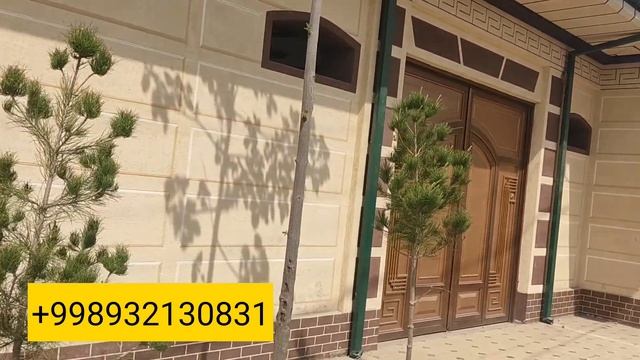 ПАВЛОВНИЯ дарахтни турлари ( томир каламча сотилади) смотреть онлайн