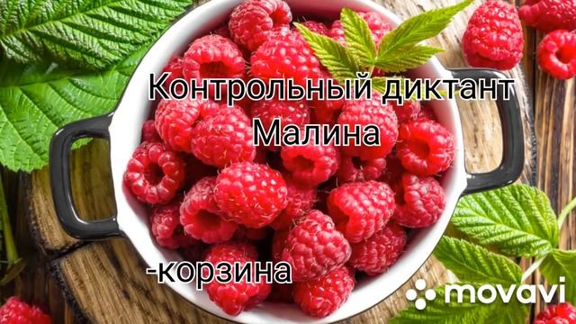 Диктант. 2 класс. Малина. смотреть онлайн