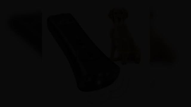 Barxbuddy South Africa | Walmart | Barx Buddy Review | UK смотреть онлайн