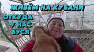 856 Жизнь семьи/Переехали на юг/Купили дом/Сад на Кубани