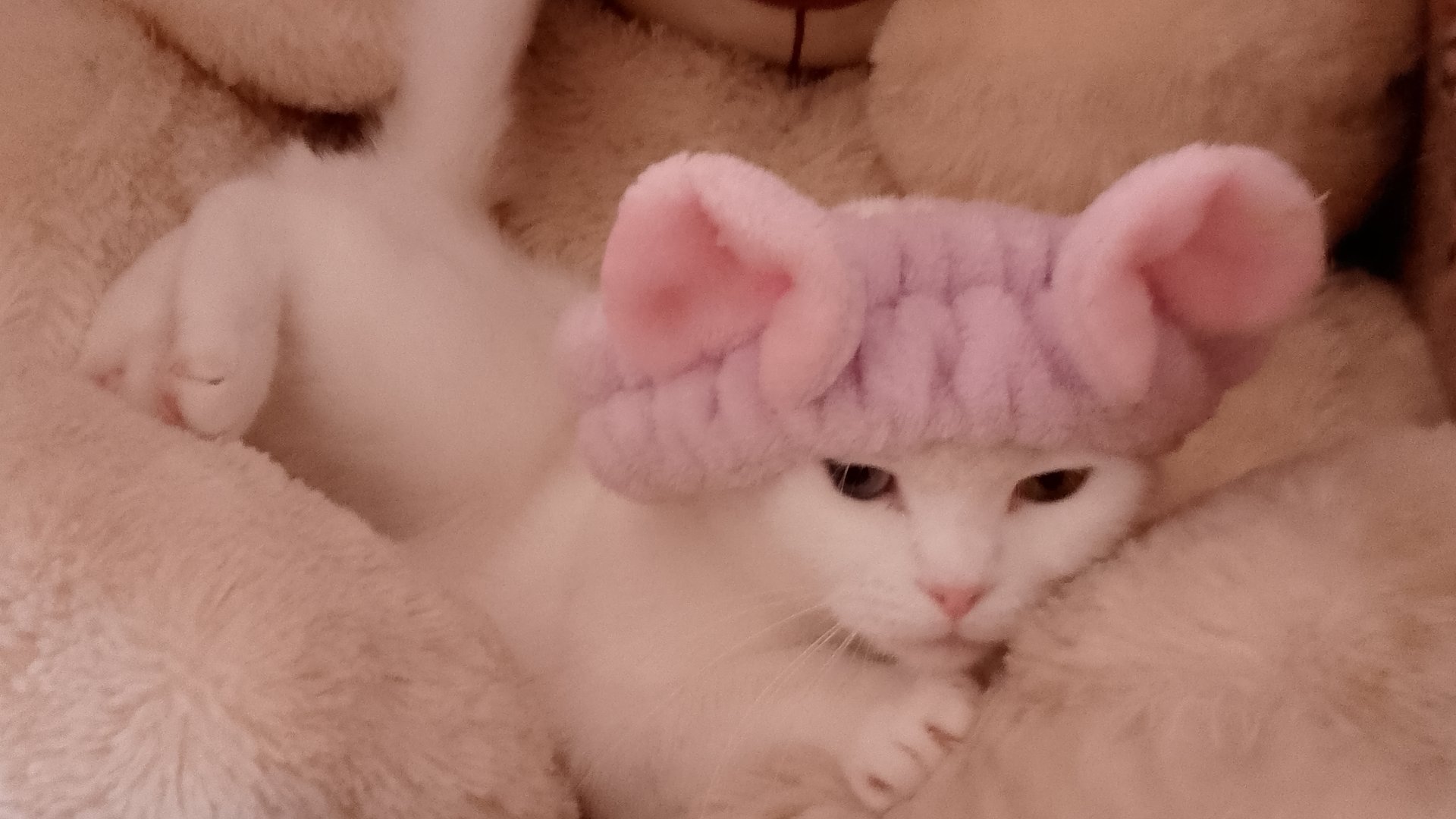 бандитка смотреть онлайн