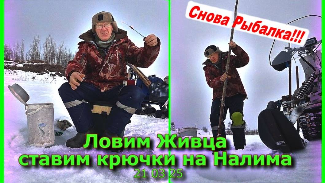 Ловим Живца и ставим Крючки на Налима 21 03 25 смотреть онлайн
