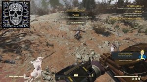 Где найти кролика в Fallout 76