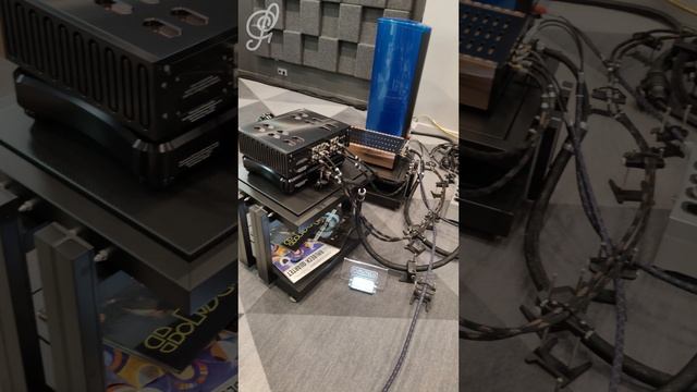 Magico + Vitus Audio + Dan D'Agostino - Hi-Fi & High End Show 2025 СПб смотреть онлайн