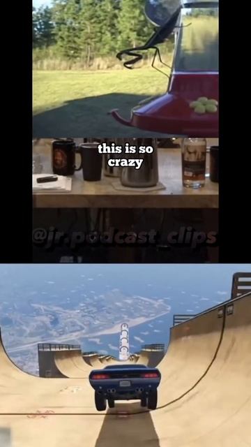 How dangerous are mantis’s!? #joerogan #podcast #shorts смотреть онлайн