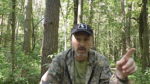 17. Чакры. Аджна. Проявление чакры по всем телам. смотреть онлайн