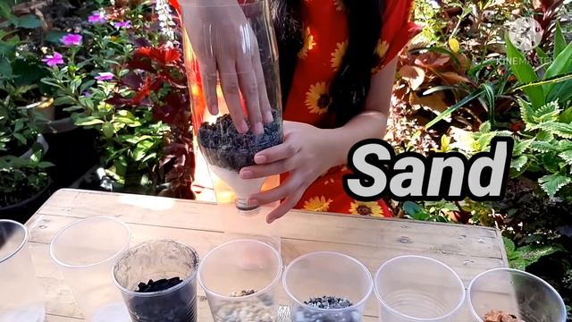 DIY Water filter experiment, How to filter dirty water (Expressive language disorder) смотреть онлайн