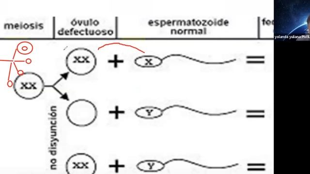 BIOLOGÍA 20/05 - 21/05 смотреть онлайн