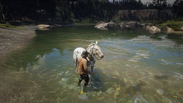 Red Dead Redemption 2 | Rare Zebra Horse Caught By Arthur Morgan смотреть онлайн