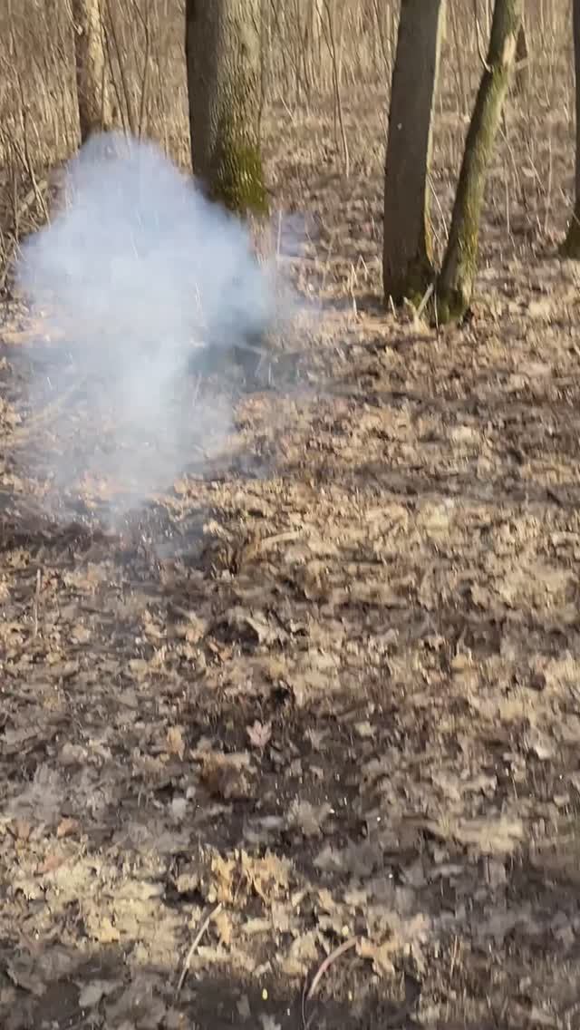 Гранаты пиротехнические Сварга-4 и Сварга-6